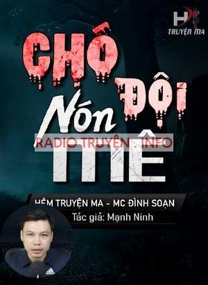 Chó Đội Nón Mê