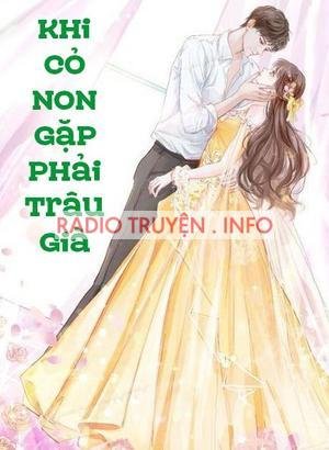 Khi Cỏ Non Gặp Phải Trâu Già