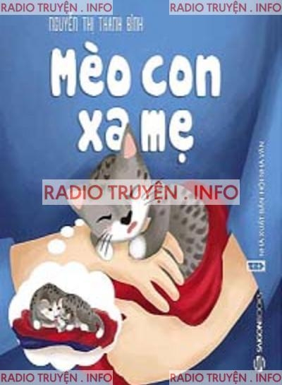 Mèo Con Xa Mẹ