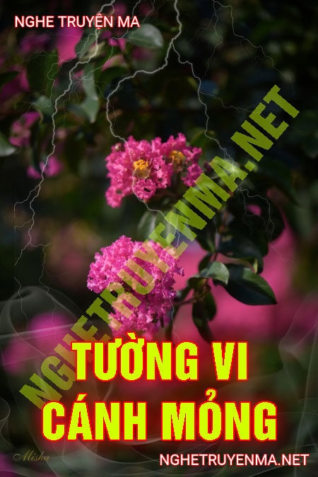 Tường Vi Cánh Mỏng