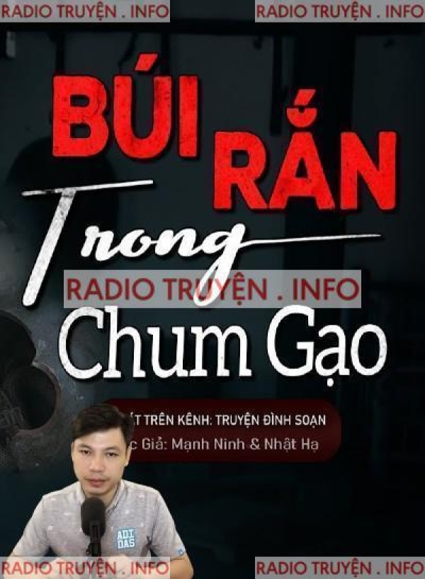 Búi Rắn Trong Chum Gạo