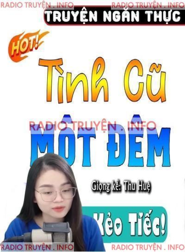 Tình Cũ Một Đêm