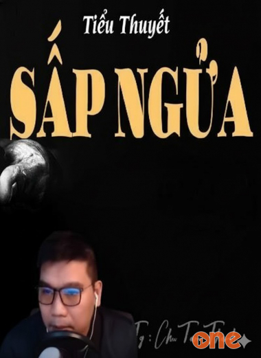 Tiểu Thuyết Sấp Ngửa