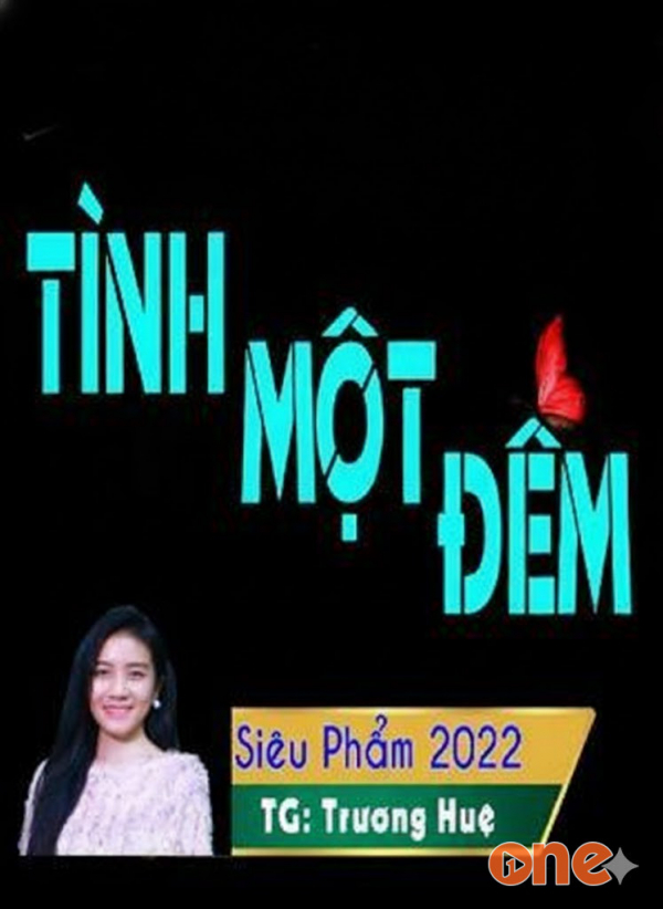 Tình Một Đêm - MC Anh Sa