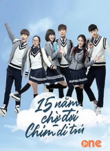 15 Năm Chờ Đợi Chim Di Trú