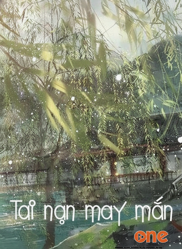 Tai Nạn May Mắn - MC Hoàn Hoàn