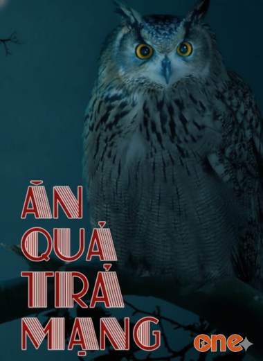 Ăn Quả Trả Mạng Người