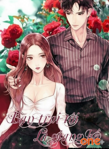 Bạn Trai Tôi Là Giang Hồ