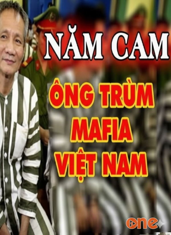Bí mật chuyên án năm cam - MC Đình Duy