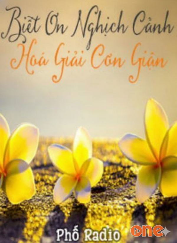 Biết Ơn Nghịch Cảnh -  Hoá Giải Cơn Giận - Trần Ngọc San