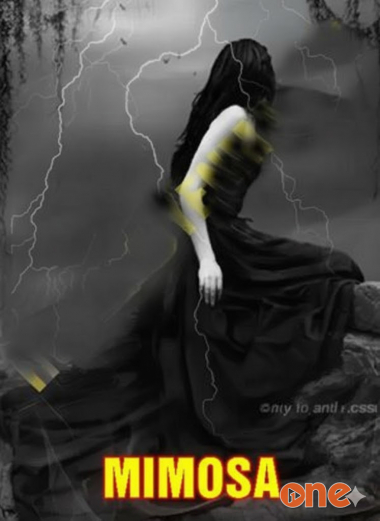 Chuyện Tình Mimosa