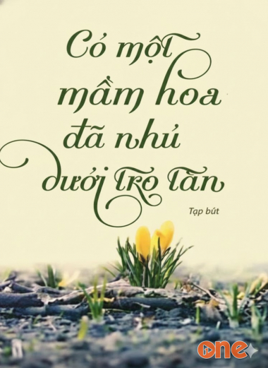 Có Một Mầm Hoa Đã Nhú Dưới Tro Tàn