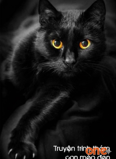 Con mèo đen - truyện trinh thám