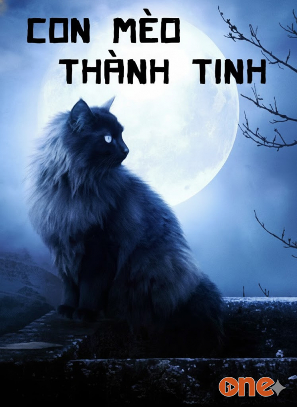 Con Mèo Thành Tinh - MC Đình Soạn