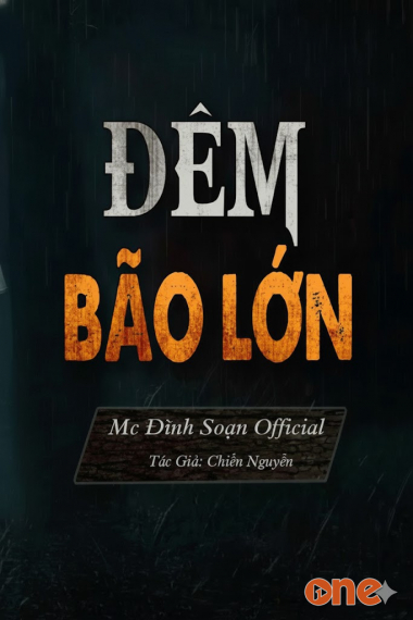 Đêm Bão Lớn - MC Đình Soạn