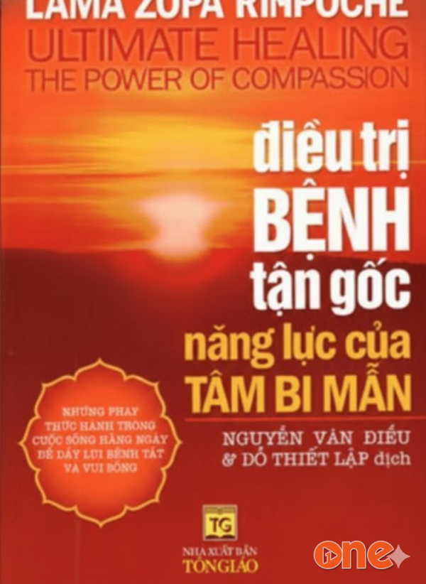 Điều Trị Bệnh Tận Gốc - Kiều Hạnh