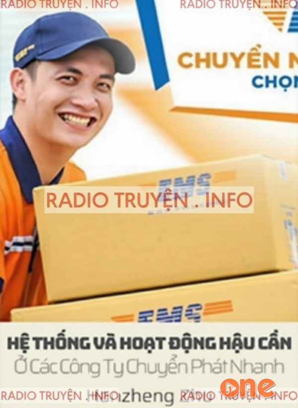 Hệ Thống Và Hoạt Động Hậu Cần Ở Các Công Ty Chuyển Phát Nhanh - Trương Thị Đệ