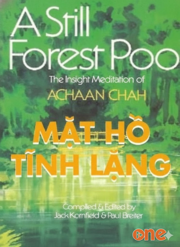 Mặt Hồ Tĩnh Lặng - Huy Hồ