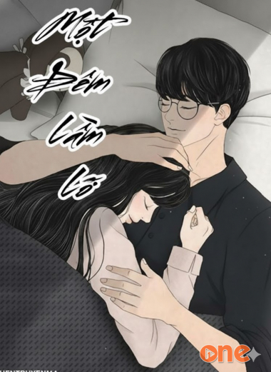 Một Đêm Lầm Lỡ