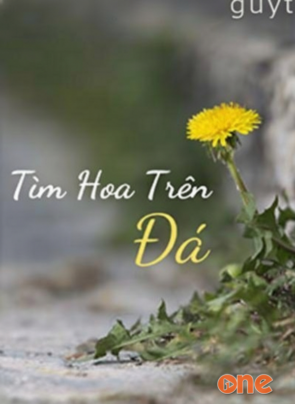 Tìm Hoa Trên Đá - MC Lam Phương