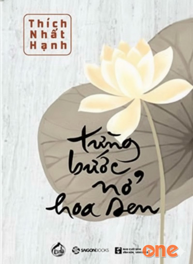 Từng Bước Nở Hoa Sen