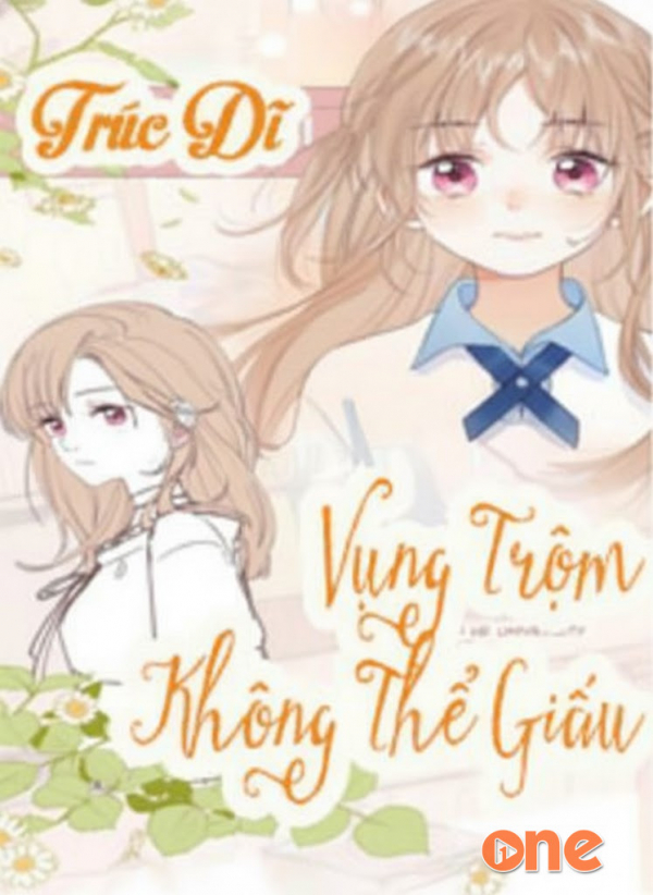 Vụng Trộm Không Thể Giấu - Trầm Radio