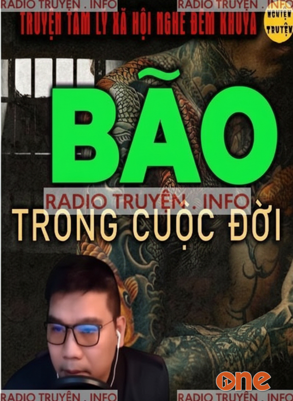 Bão Trong Cuộc Đời - MC Đình Duy