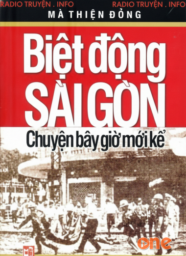 Biệt Động Sài Gòn, Chuyện Bây Giờ Mới Kể