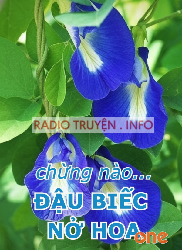 Chừng Nào Đậu Biếc Nở Hoa - MC Thanh Mai