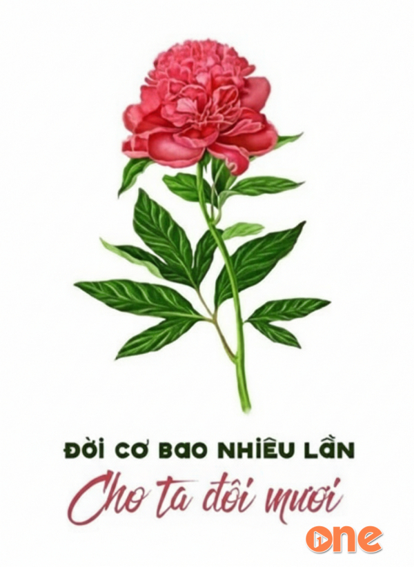 Đời Có Bao Nhiêu Lần Cho Ta Đôi Mươi - Nguyễn Duy Quyền