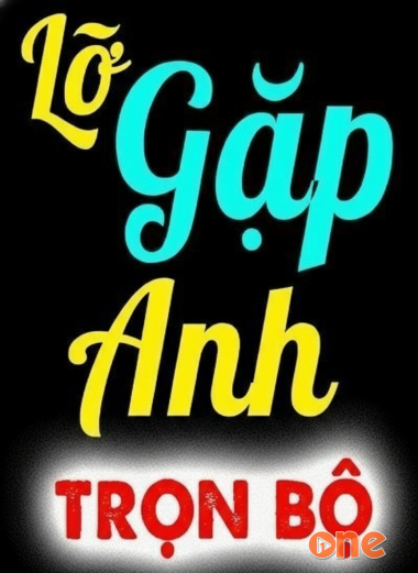 Lỡ Gặp Anh