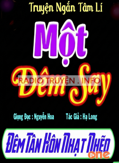 Một Đêm Say