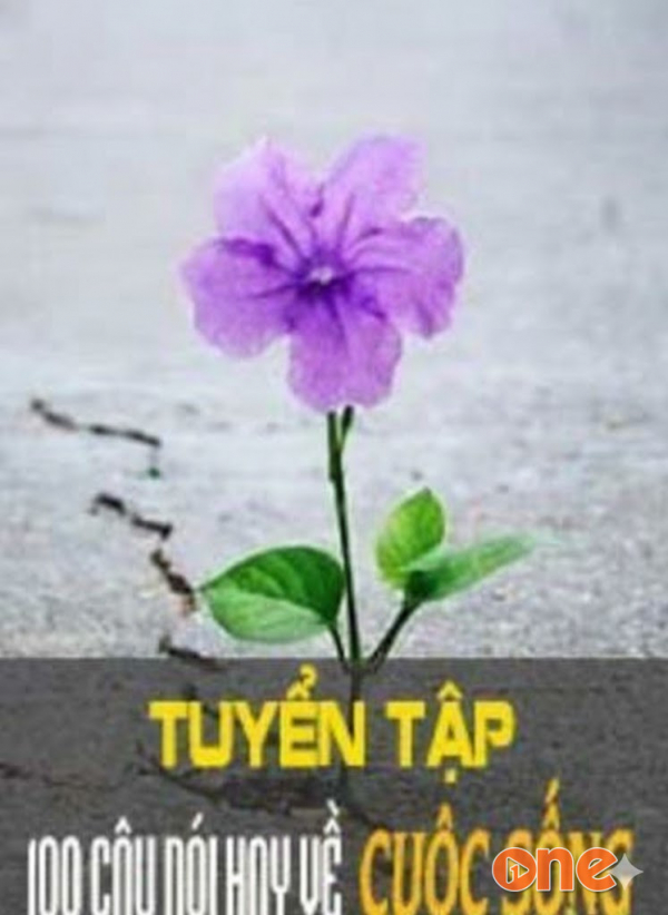 Tuyển Tập 100 Câu Nói Hay Về Cuộc Sống - Nguyễn Kim Ngân