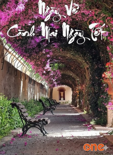 Ngày Về - Cành Mai Ngày Tết